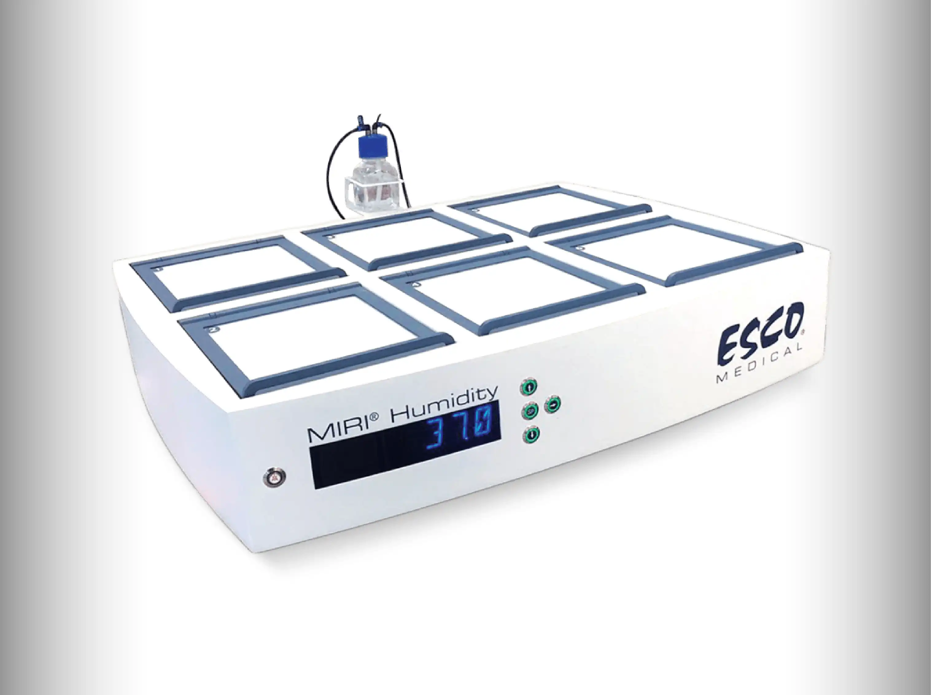 In Vitro Fertilization (IVF) | Jordan